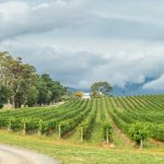 Designed to suit every budget!