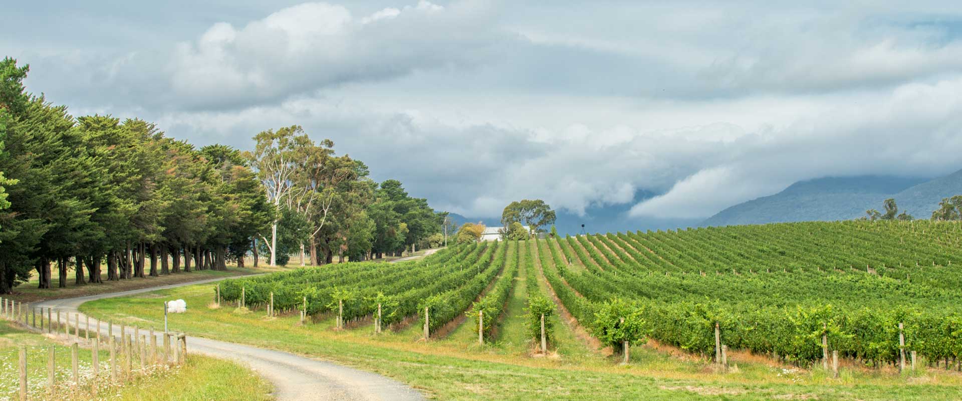 Designed to suit every budget!